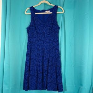 Royal Blue Lace Dress